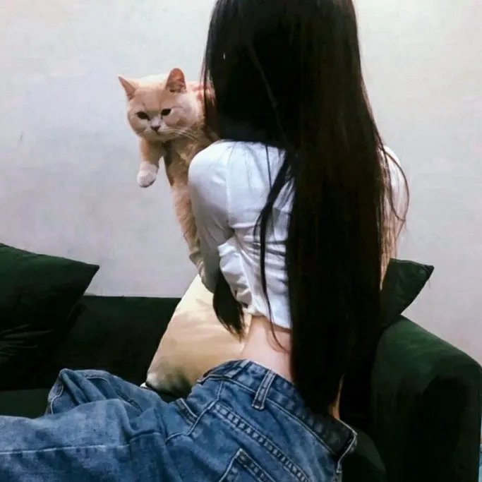天作之合